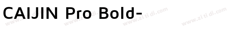 CAIJIN Pro Bold字体转换